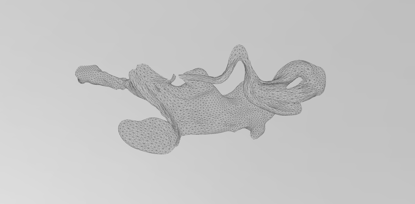 Archive Scan Creation of the virtual Venus